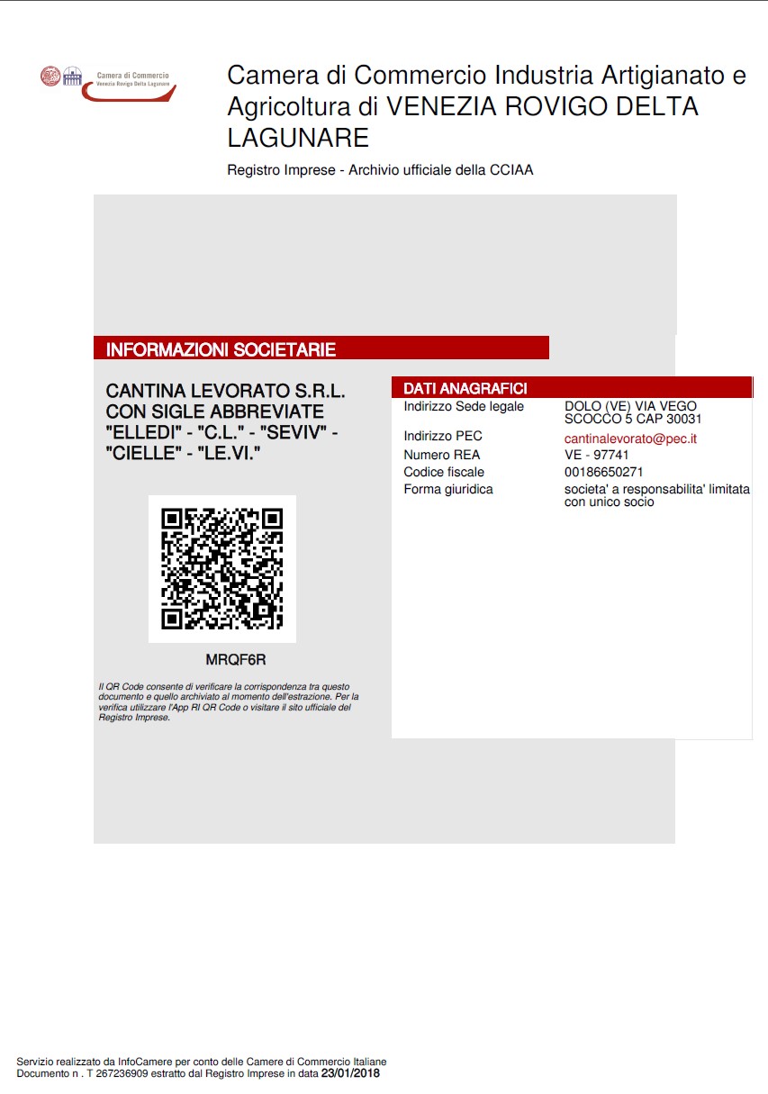 Annual financial statements from commercial register of Italy