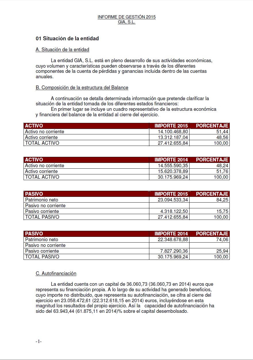 Annual financial statements from commercial register of Spain